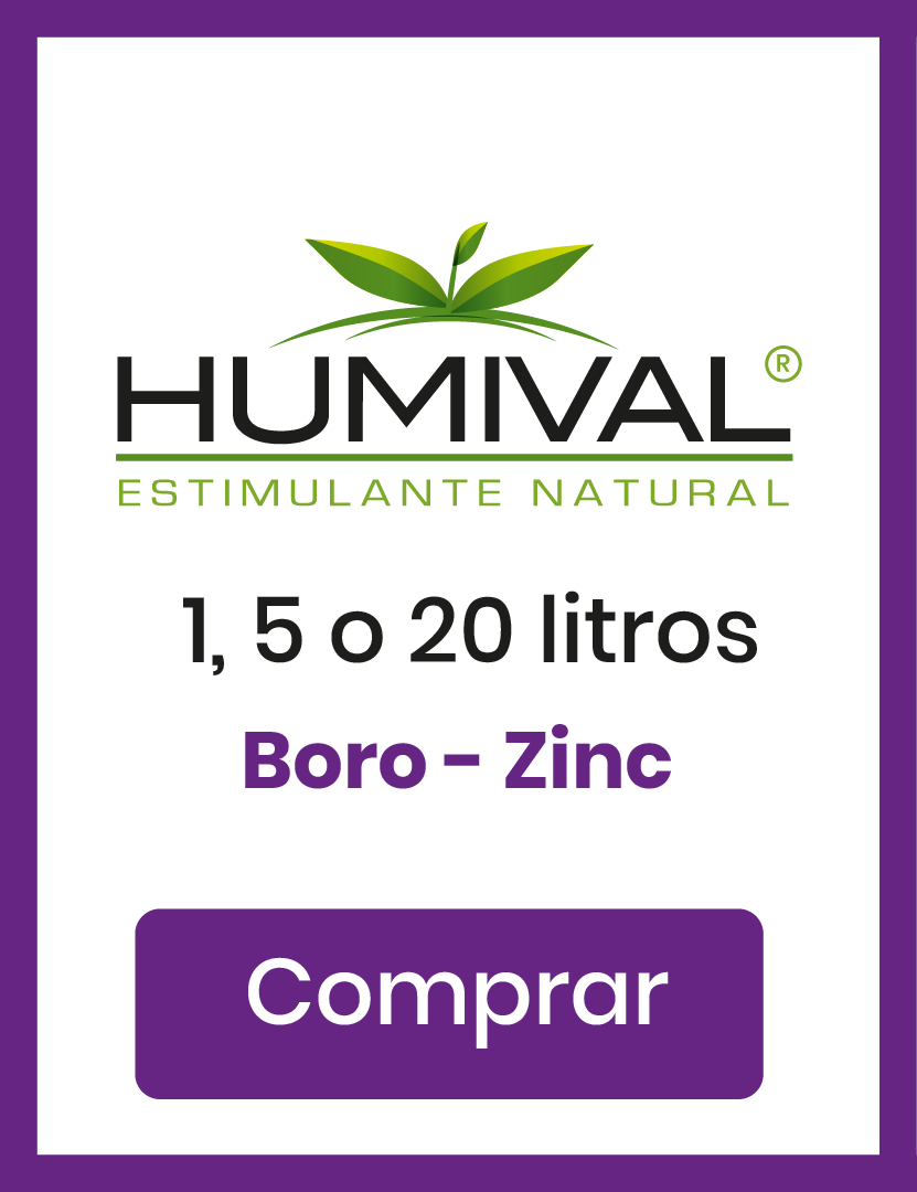Humival Boro Zinc