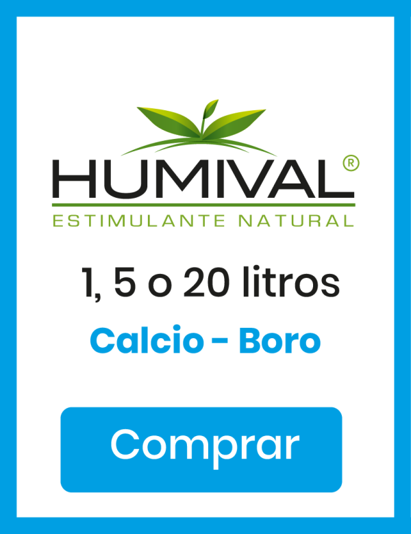Humival Calcio Boro - 1, 5 y 20 Litros